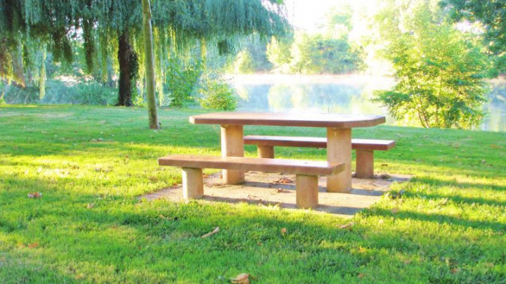 Table pique-nique Lourdes coloris ton bois